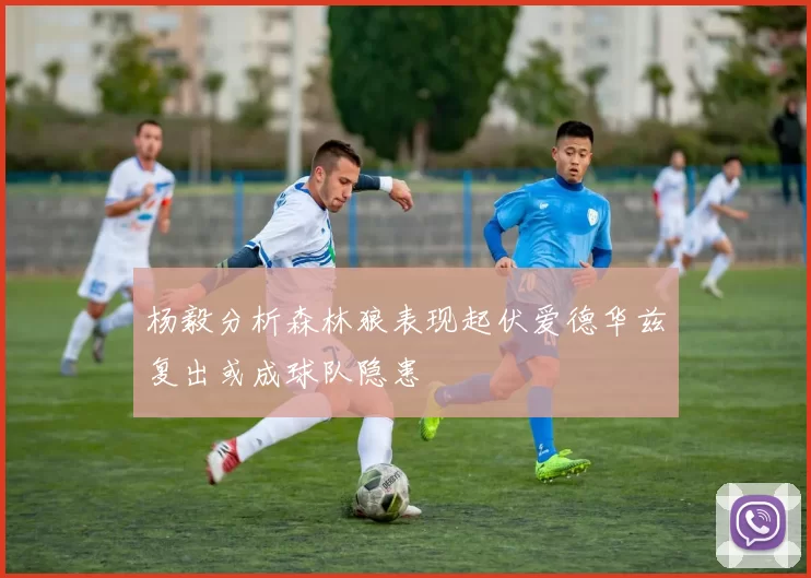 杨毅分析森林狼表现起伏爱德华兹复出或成球队隐患