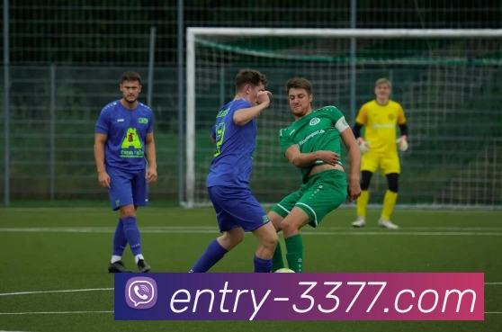 3377体育APP 封面图